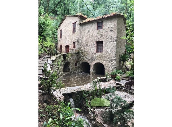Camaiore, Tuscany 55041