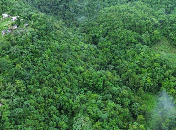 MOUNT ZION, Red Hills, St. Andrew