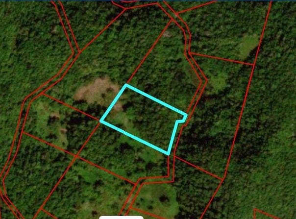 UNITY lot: 194, Bunkers Hill, Trelawny