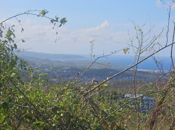 CMWV+P7, Runaway Bay, St. Ann Parish