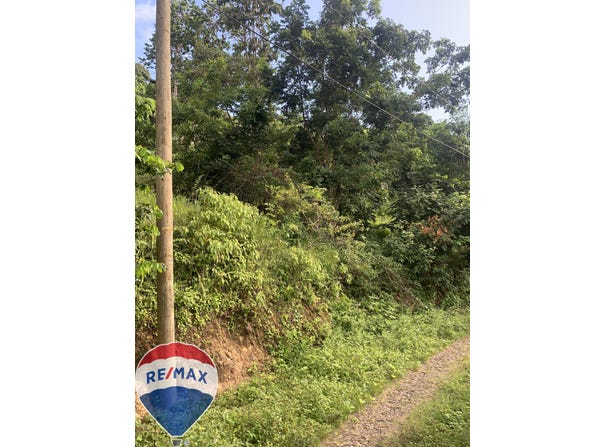 Desrameaux, Monchy, Dauphin