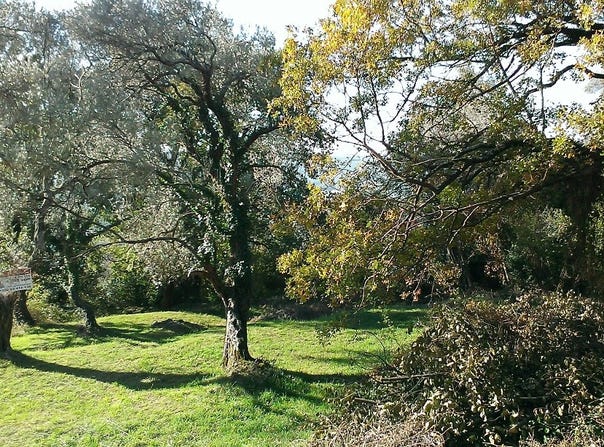 Land with view in Tivat, Tivat, Tivat