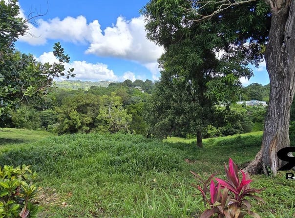 Le Robert, Martinique 97231