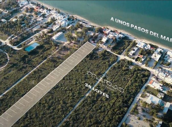 Playa, Chicxulub Puerto, Yucatan