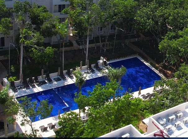 la selva, Playa del Carmen, Quintana Roo 77725