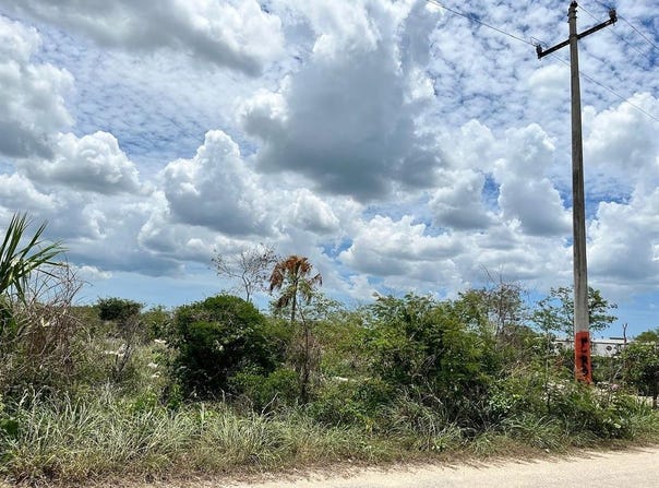 C. 22 & C. 31, Merida, Yucatan
