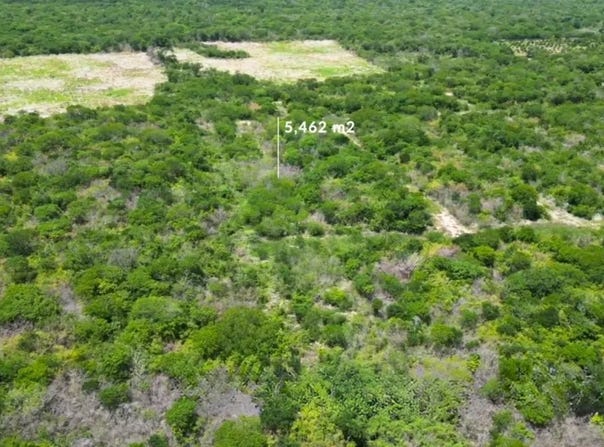 100, 719, Santa Cruz Palomeque, Yucatan 97315.0