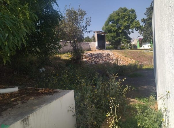 Calle de Vargas 31, Tlalmanalco de Velázquez, Tlalmanalco, México, Tlalmanalco, Mexico 56700