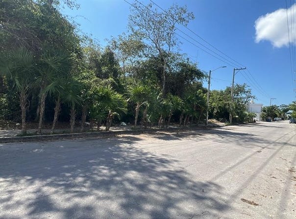zetina gazca, Puerto Morelos, Quintana Roo 77580