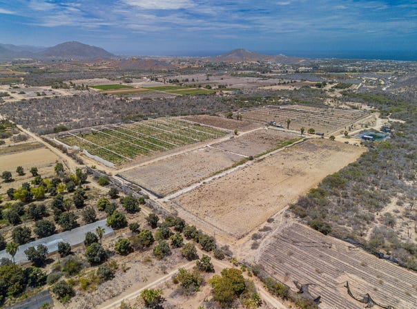 San Simon Developers Dream Lot, Pacific, Mexico City 15270