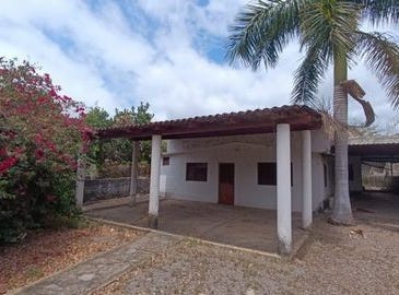 Nayarit, Nayarit