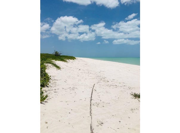 México 180, Ciudad del Carmen, Campeche
