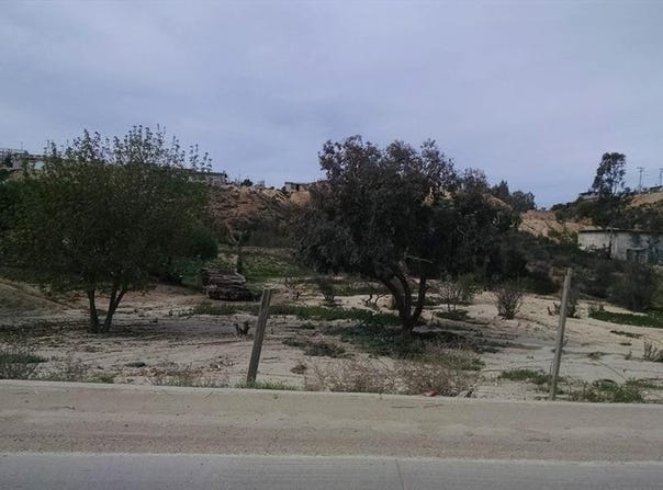 Ave. Garcia, Tijuana, Baja California 22170