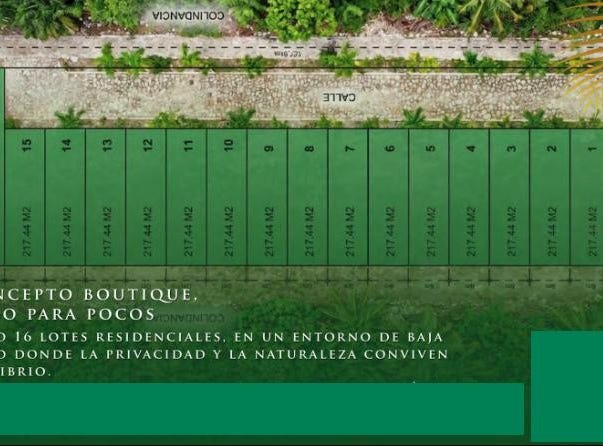 Jardines de Ciudad Mayakoba, Quintana Roo, Quintana Roo 77724