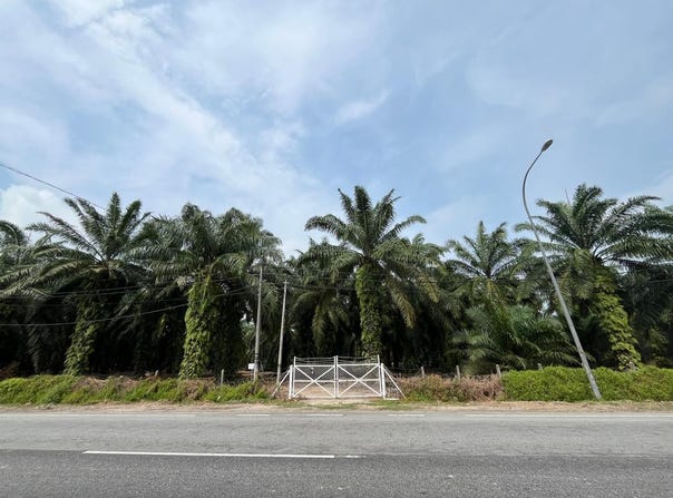 Selangor, Malaysia, Selangor, Selangor