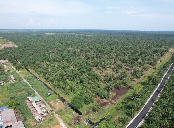 Kampung Ladang, Selangor