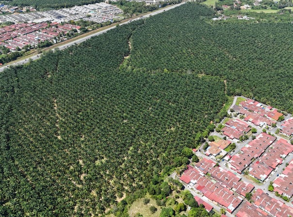 Kedah, Malaysia, Kedah, Kedah