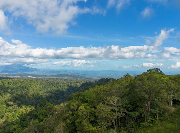 CABECERA DE COCHEA, POTRERILLOS, Dolega, Dolega