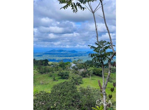 Bugaba District, Bugaba District, Chiriquí Province