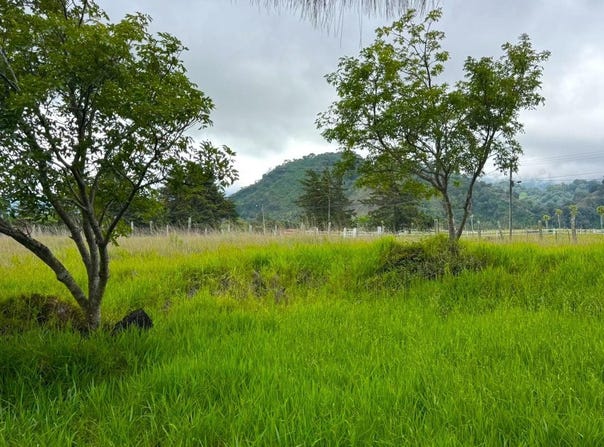 Bugaba, Chiriquí Province