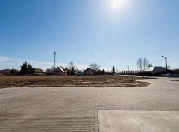 kłecko, Wielkopolskie
