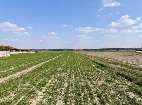 szymanowo, Warmińsko-Mazurskie|Warmia and Masuria