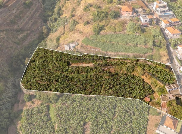 Canhas, Madeira 9360