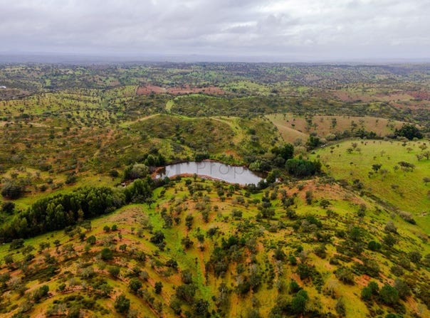 Aldeia Nova De São Bento, Beja 7830