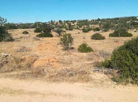 Olhão, Algarve 8700