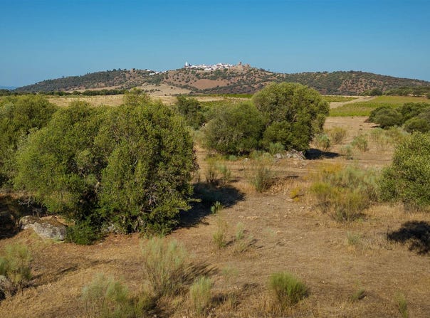 Monsaraz, Évora 7200