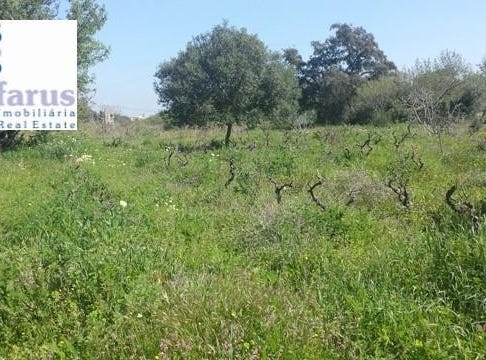 Olhão, Algarve 8700