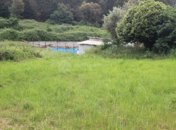Valongo, Porto District