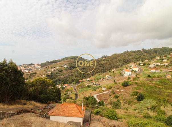 CANIÇO, Madeira