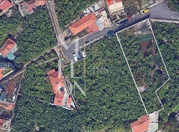FUNCHAL, Madeira