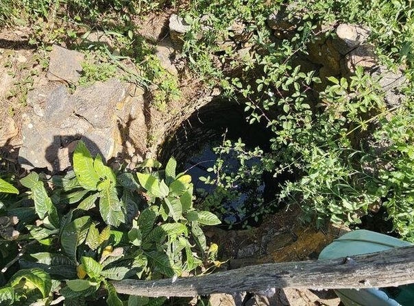 Budens, Algarve 8650
