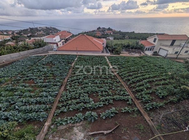 Ponta do Sol, Madeira