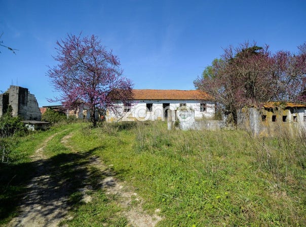 Rio Maior, Santarém District