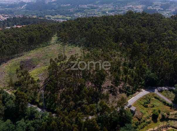 Fafe, Braga