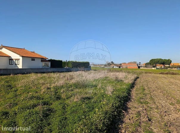 Murtosa, Aveiro District