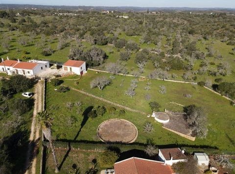 Lagos, Faro