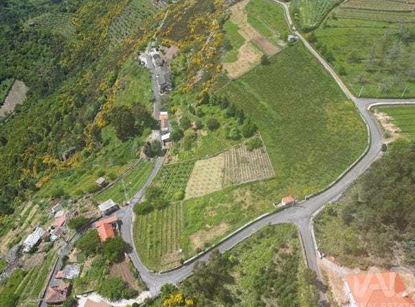 Torgueda, Vila Real 5000