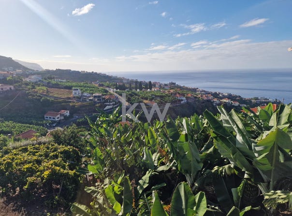 Ponta Do Sol, Madeira 9350