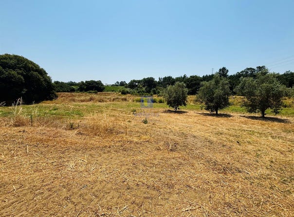 Alcoentre, Lisbon 2065