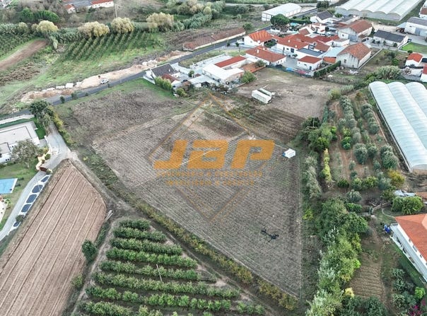 Alcobaça, Leiria 2460