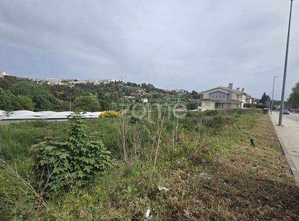 Vila Real, Vila Real District
