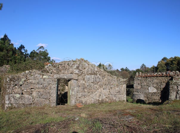 Mangualde, Viseu District