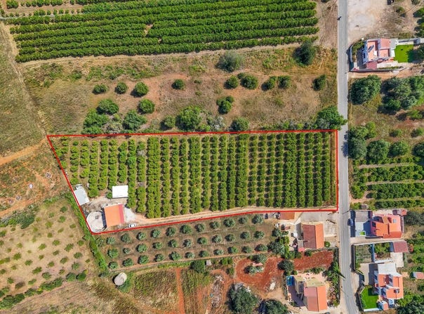 Silves, Algarve 8300