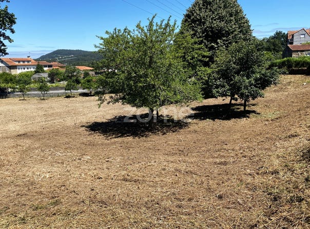 Esposende, Braga