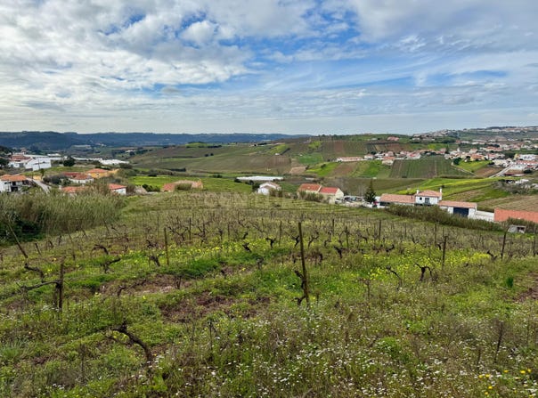Vale da Bucha, Freiria, Lisbon 2565-302