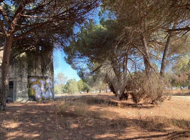 Moita, Setubal